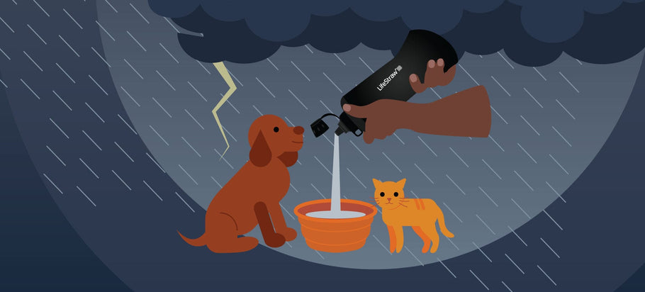 The Importance of Pet Emergency Preparedness