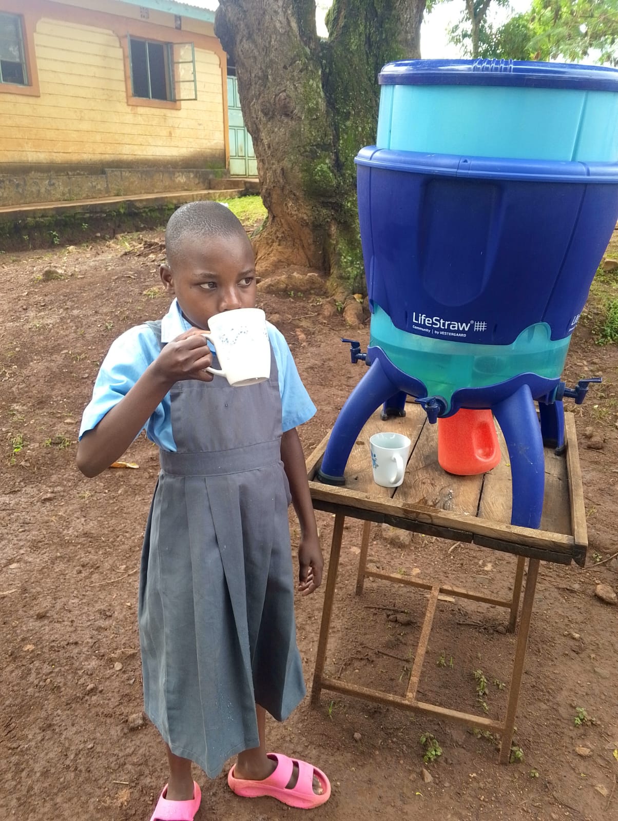 People Powered Impact at LifeStraw