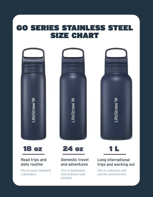 LifeStraw Go Series Stainless Steel 18 oz Bottle Filter LifeStraw - Online store
