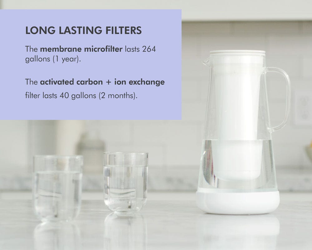 LifeStraw Home 7-Cup Glass Home LifeStraw - Online store