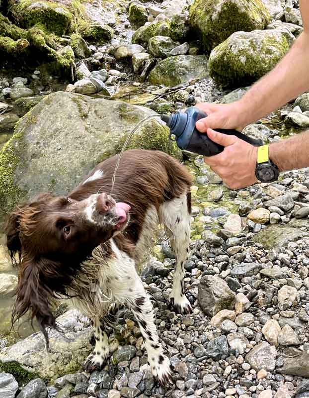 Fido flight: LifeStraw Peak Squeeze 1L + LifeStraw Peak Solo Bottle Filter LifeStraw - Online store