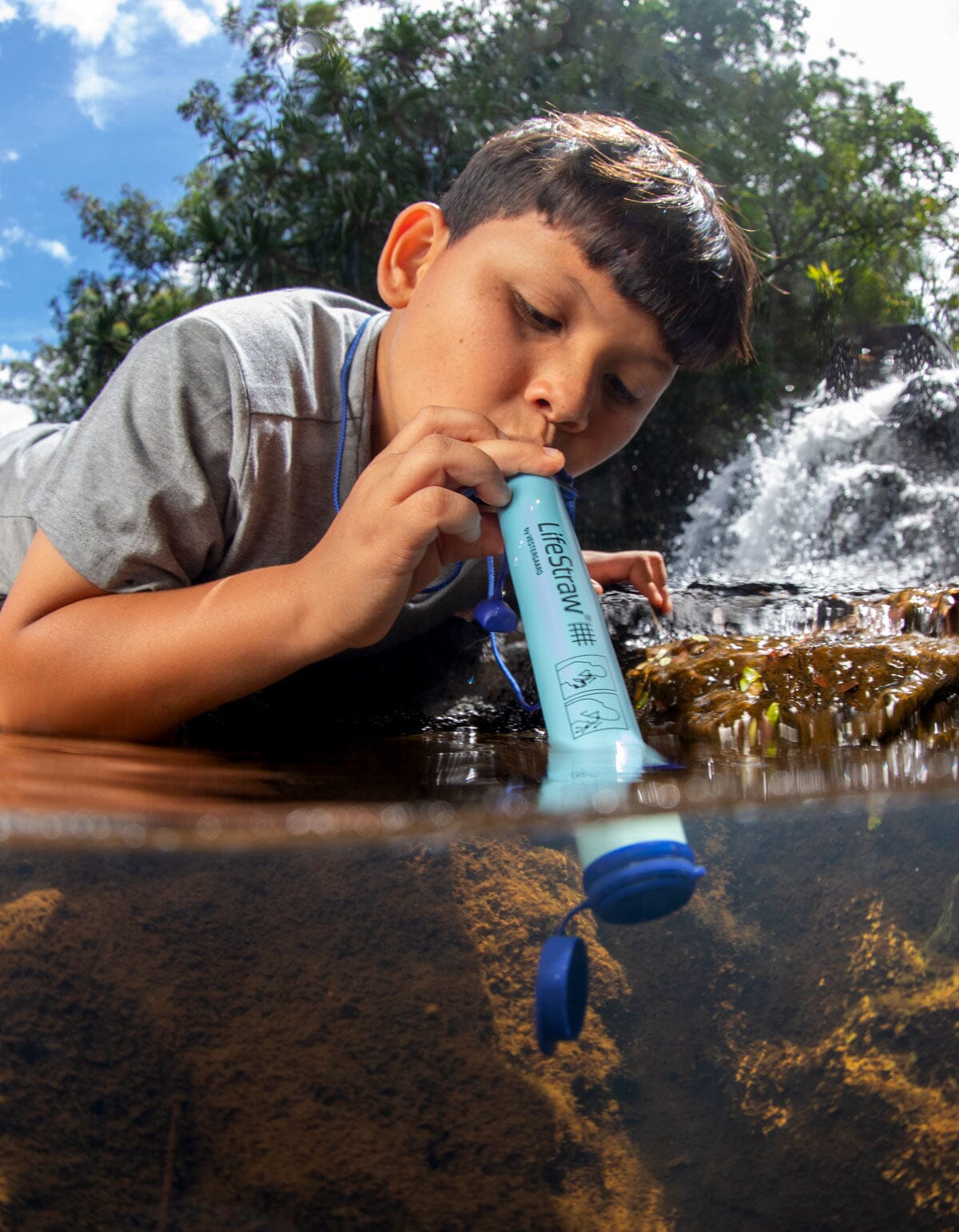 The Deck the Halls Straw Bundle Straw LifeStraw - Online store