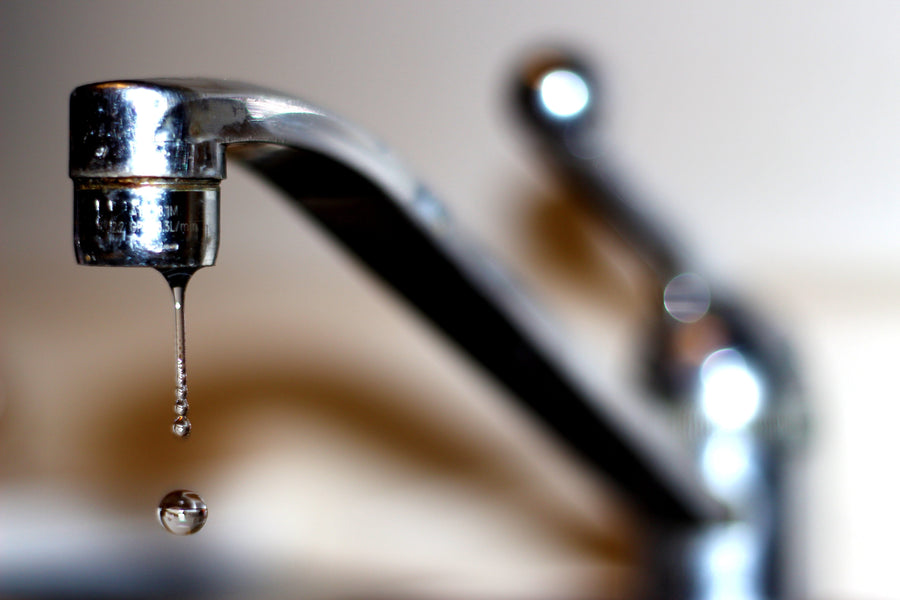 The Impact of Lead and PFAS Contaminated Water on Child Growth and Development
