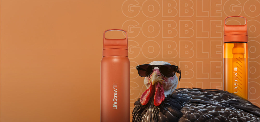 HOLIDAY<br> FAVORITES