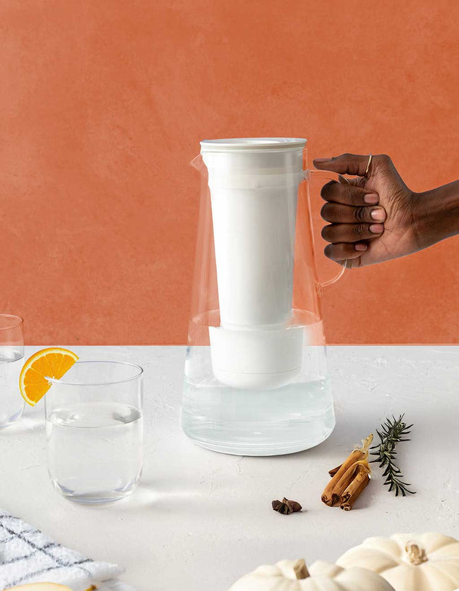 The Gratitude Bundle - 2 LifeStraw Home 7-Cup Bundle LifeStraw - Online store 