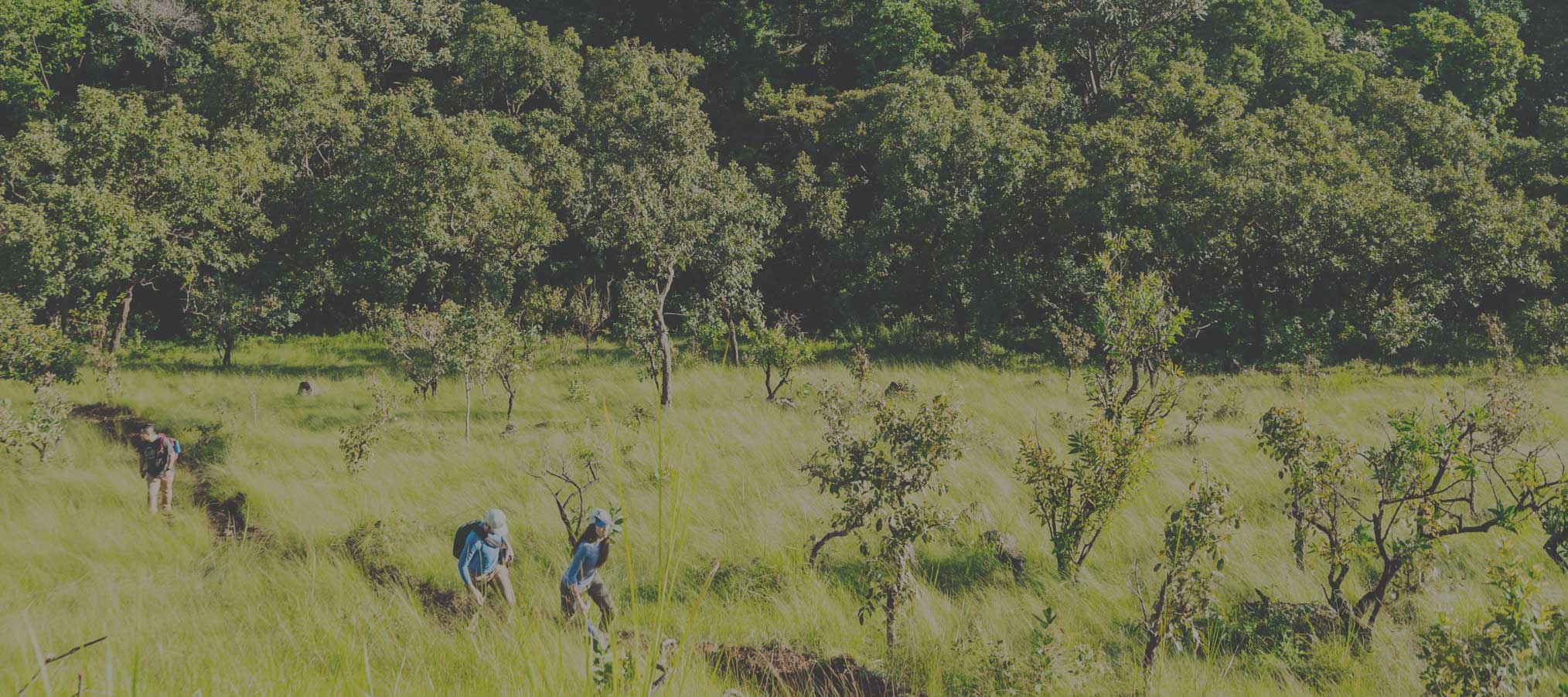 Life Straw  Social Design NABA