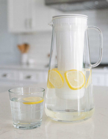 LifeStraw Home 10-Cup Home LifeStraw - Online store