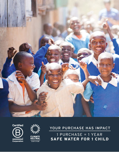 LifeStraw Community Purifier LifeStraw - Online store